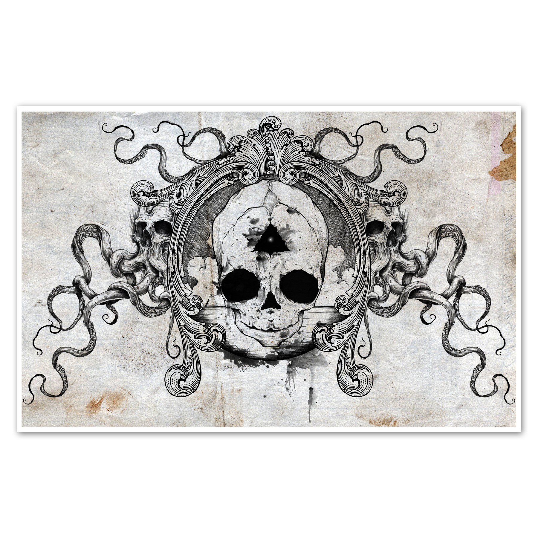 Fetal Skull Print